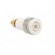 Socket | 4mm banana | 32A | grey | gold-plated | Overall len: 38.5mm image 7