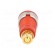 Socket | 4mm banana | 32A | red | gold-plated | screw,on panel | 32mm image 5