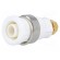 Socket | 4mm banana | 32A | white | gold-plated | screw,on panel | 32mm image 1