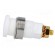 Socket | 4mm banana | 32A | white | gold-plated | screw,on panel | 32mm image 3