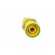 Socket | 4mm banana | 37mm | yellow-green | nickel plated | brass | 20A image 9