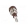 Socket | 2mm banana | 10A | 23mm | brown | soldered,on panel | insulated image 5