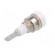 Socket | 2mm banana | 10A | 23mm | white | soldered,on panel | insulated image 6