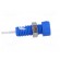 Socket | 2mm banana | 6A | Overall len: 21mm | blue | insulated image 7