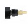 Laboratory clamp | black | 1kVDC | 100A | Contacts: brass | 81mm фото 3