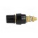 Laboratory clamp | black | 1kVDC | 63A | Contacts: brass | 58mm image 3