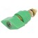 Laboratory clamp | green | 1kVDC | 63A | on panel,screw | brass | 58mm image 1