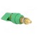 Laboratory clamp | green | 1kVDC | 63A | on panel,screw | brass | 58mm image 4