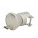 Nozzle: hot air | TSOP40 | HCT-900,TMT-HA200,TMT-HA300 | 21x10.8mm image 2