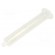 Syringe body | 50ml | natural | Luer Lock | for dispensers фото 1