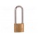 Padlock | shackle | Application: gates,toolboxes,cabinets,sheds image 2