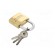 Padlock | hardened shackle | shackle | Equipment: key x3 | Mat: brass image 4