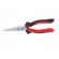 Pliers | 200mm | Blade: about 62 HRC | Conform to: DIN/ISO 5745 paveikslėlis 6