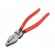 Pliers | for gripping and cutting,universal | plastic handle paveikslėlis 5