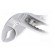 Pliers | aligator type | chrome-vanadium steel | Pliers len: 250mm paveikslėlis 2