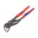 Pliers | adjustable | Pliers len: 250mm | Max jaw capacity: 52mm image 1