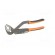 Pliers | Cobra adjustable grip | 250mm | chrome-vanadium steel paveikslėlis 5