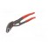 Pliers | Cobra adjustable grip | Pliers len: 250mm фото 5