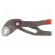 Pliers | Cobra adjustable grip | Pliers len: 250mm paveikslėlis 4