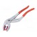 Pliers | to siphon health,adjustable | 250mm фото 1