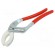 Pliers | to siphon health,specialist | 230mm image 1