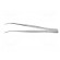 Tweezers | Tweezers len: 125mm | Blades: curved | Tipwidth: 2.3mm image 3