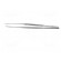 Tweezers | Tweezers len: 310mm | Blades: straight | Tipwidth: 3.5mm image 3