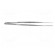 Tweezers | Tweezers len: 310mm | Blades: straight | Tipwidth: 3.5mm image 7