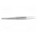 Tweezers | 115mm | for precision works | Blades: narrowed paveikslėlis 7