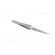 Tweezers | 120mm | for precision works | Blades: curved paveikslėlis 8