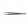 Tweezers | 120mm | for precision works | Blades: narrowed | ESD | 19g image 3