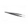 Tweezers | 120mm | for precision works | Blades: narrowed | ESD | 19g image 8