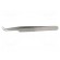 Tweezers | 120mm | universal | Blades: curved | Blade tip shape: sharp image 3