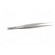 Tweezers | 125mm | Blades: straight,narrowed paveikslėlis 7