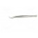 Tweezers | 160mm | universal | Blades: curved | Blade tip shape: sharp image 3