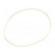 Rubber bands | Width: 3mm | Thick: 1.5mm | rubber | Colour: white фото 2
