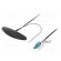 Antenna | inner | AM,FM | universal,with amplifier | 0.25m | black image 1