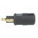 Cigarette lighter plug | cables | 8A | Sup.volt: 12÷24VDC | black image 4