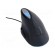 Optical mouse | black | USB A | wired | Features: DPI change button image 2