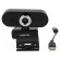 Webcam | black | USB | Features: Full HD 1080p,PnP | 1.45m | clip | 60° paveikslėlis 3