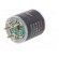 Sensor: gas level | phosphine(PH3) | electrochemical | 3.3÷5VDC image 6