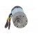 Motor: DC | with gearbox | 24VDC | 3A | Shaft: D spring | 330rpm | Ø: 37mm image 9