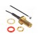 Cable: coaxial | Cable: 1.13 mm Micro-cable | 0.1m | AMC,SMA | female image 2