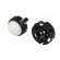 Ball casters | Kit: ball,housing | screw | Ø: 34mm | Tip mat: plastic фото 2
