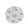 Bracket wheel | Shaft: smooth | Pcs: 2 | Shaft dia: 6mm | Ø: 25.4mm image 5