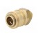 Quick connection coupling EURO | brass | Ext.thread: 1/4" image 2