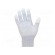 Protective gloves | ESD | S | polyamide,polyurethane,carbon fiber paveikslėlis 2