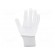 Protective gloves | ESD | S | Features: conductive | beige paveikslėlis 2