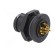 Connector: circular | for panel mounting,front side nut | socket image 4