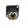 Connector: XLR | socket | male | PIN: 10(8+2) | straight | soldering paveikslėlis 5